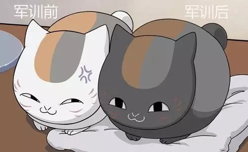 河南云和數據信息技術有限公司