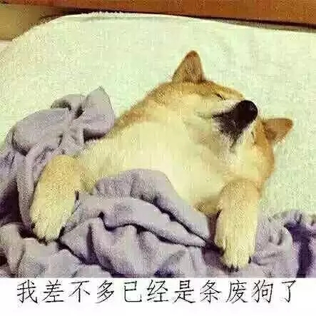 河南云和數據信息技術有限公司