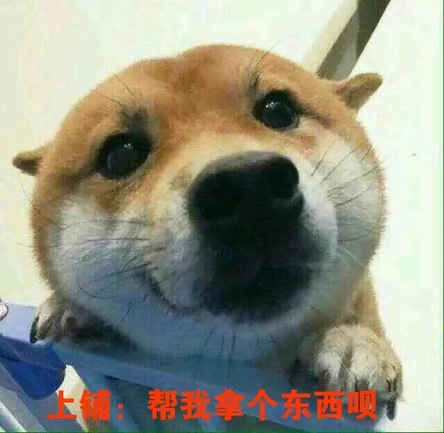 河南云和數據信息技術有限公司