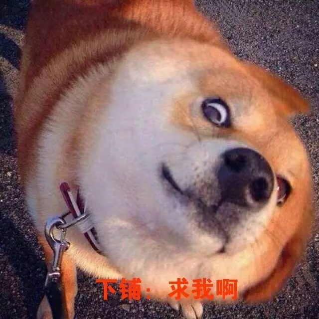 河南云和數據信息技術有限公司