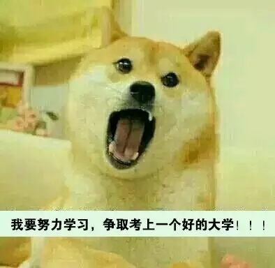 河南云和數據信息技術有限公司