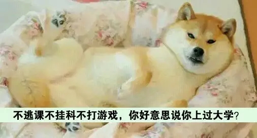 河南云和數據信息技術有限公司