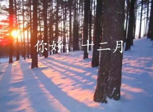 你的2016年，已經(jīng)余額不足