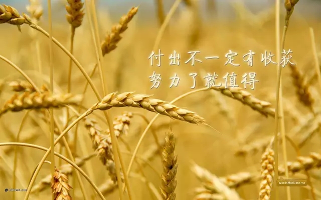 你的2016年，已經(jīng)余額不足