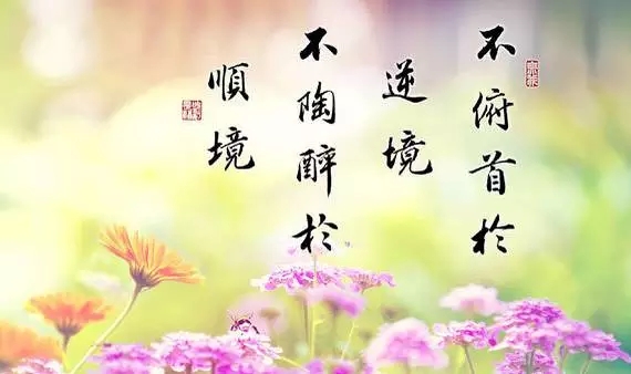 你的2016年，已經(jīng)余額不足