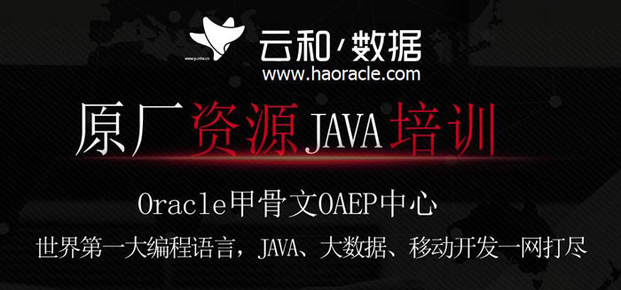 軟件開發(fā)需要學什么-云和軟件開發(fā)培訓