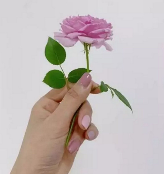 配圖1 拍一張照片就能設(shè)計(jì)成一幅海報(bào).jpg