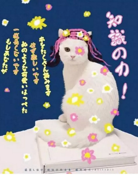 配圖14 拍一張照片就能設(shè)計(jì)成一幅海報(bào).jpg