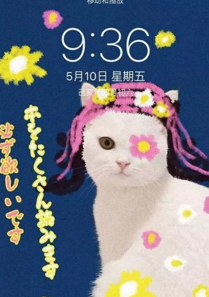 配圖15 拍一張照片就能設(shè)計(jì)成一幅海報(bào).jpg